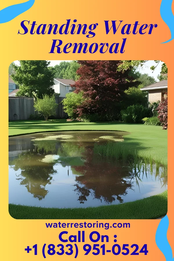 Standing Water Removal in Greentop, MO